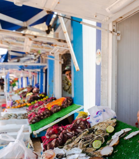 oualidia beach morocco